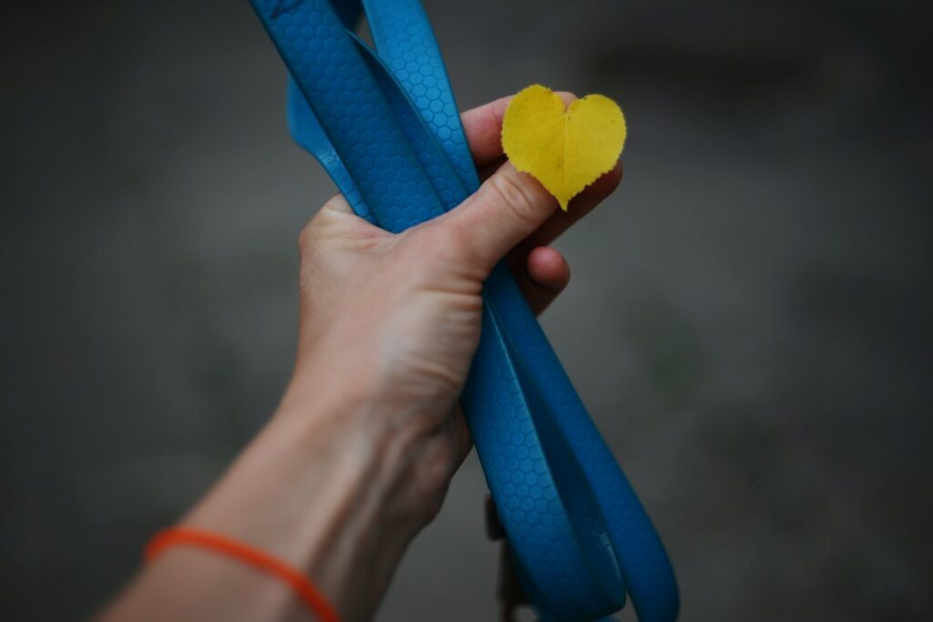 Natural Organic Hemp Dog Leash