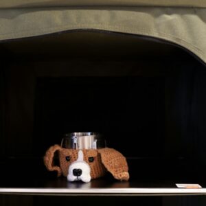 Stainless Steel Elevated Cat Bowl Set