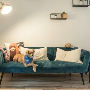 Calming Pet Anxiety Relief Vest